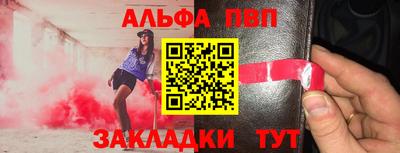 дмт Кингисепп