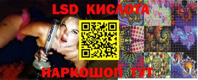 дмт Кингисепп